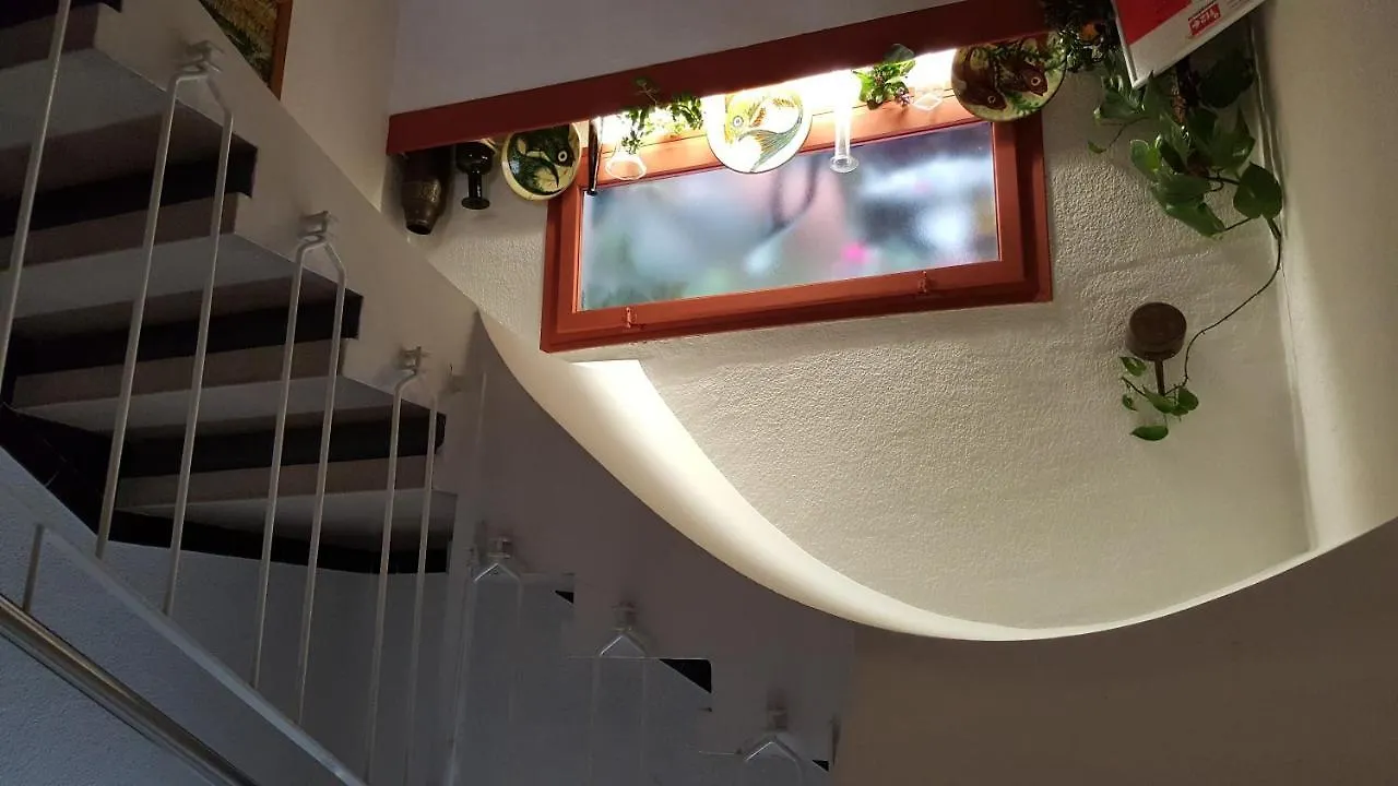 Guest house Hostal Residencia Catalina Palamos